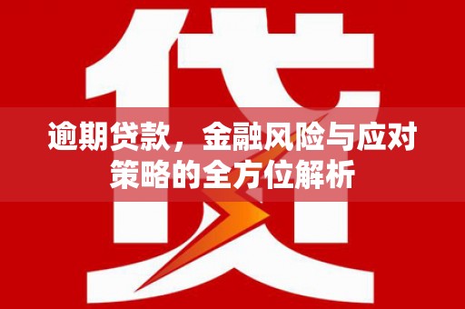 岳塘逾期贷款，金融风险与应对策略的全方位解析