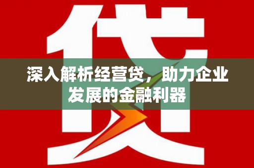 岳塘深入解析经营贷，助力企业发展的金融利器