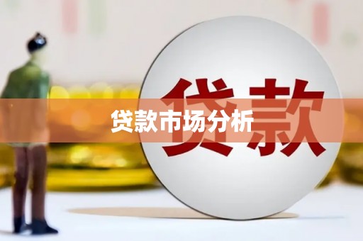 岳塘贷款市场分析