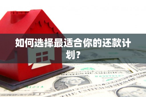 岳塘如何选择最适合你的还款计划？