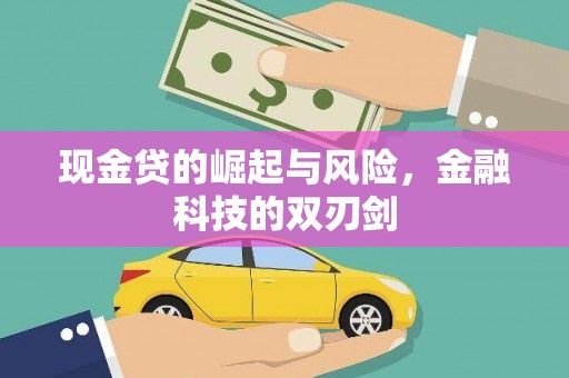 岳塘现金贷的崛起与风险，金融科技的双刃剑