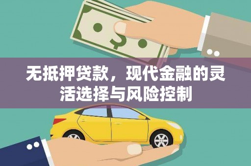 岳塘无抵押贷款，现代金融的灵活选择与风险控制