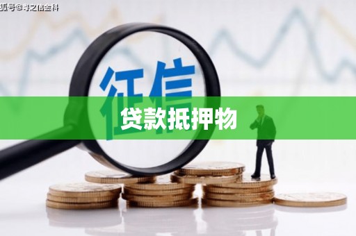 岳塘贷款抵押物