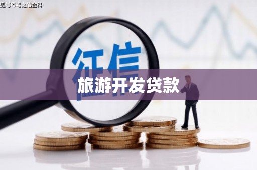 岳塘旅游开发贷款