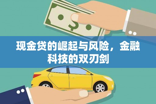 岳塘现金贷的崛起与风险，金融科技的双刃剑