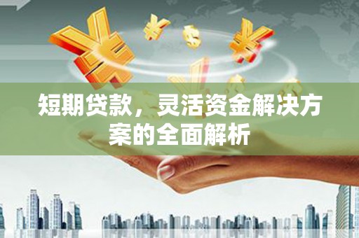 岳塘短期贷款，灵活资金解决方案的全面解析