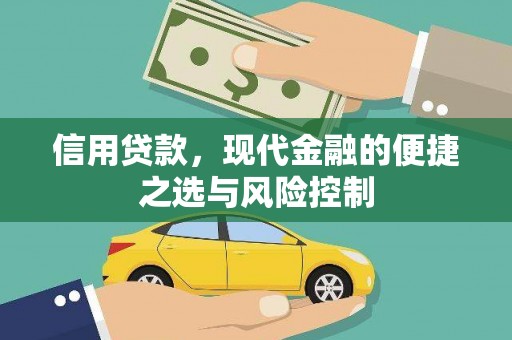 岳塘信用贷款，现代金融的便捷之选与风险控制
