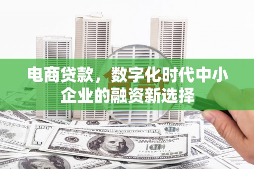 岳塘电商贷款，数字化时代中小企业的融资新选择
