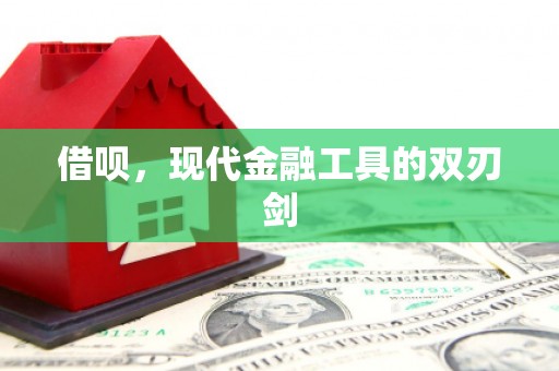岳塘借呗，现代金融工具的双刃剑