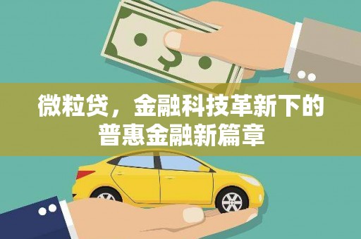 岳塘微粒贷，金融科技革新下的普惠金融新篇章