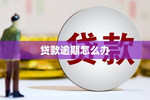 岳塘贷款逾期怎么办