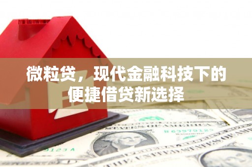 岳塘微粒贷，现代金融科技下的便捷借贷新选择