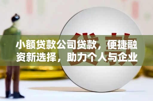 岳塘小额贷款公司贷款，便捷融资新选择，助力个人与企业成长