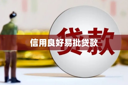 岳塘信用良好易批贷款