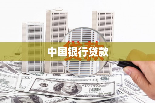 岳塘中国银行贷款