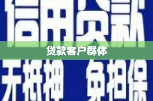 岳塘贷款客户群体