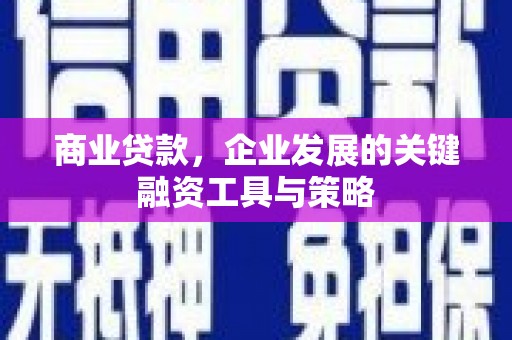岳塘商业贷款，企业发展的关键融资工具与策略