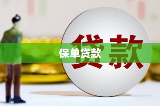 岳塘保单贷款