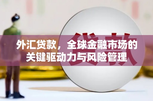 岳塘外汇贷款，全球金融市场的关键驱动力与风险管理
