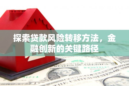 岳塘探索贷款风险转移方法，金融创新的关键路径
