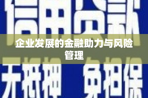 岳塘企业发展的金融助力与风险管理