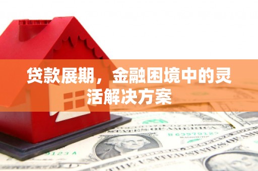 岳塘贷款展期，金融困境中的灵活解决方案