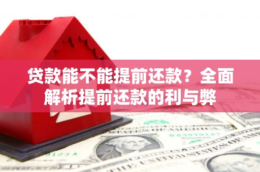 岳塘贷款能不能提前还款？全面解析提前还款的利与弊