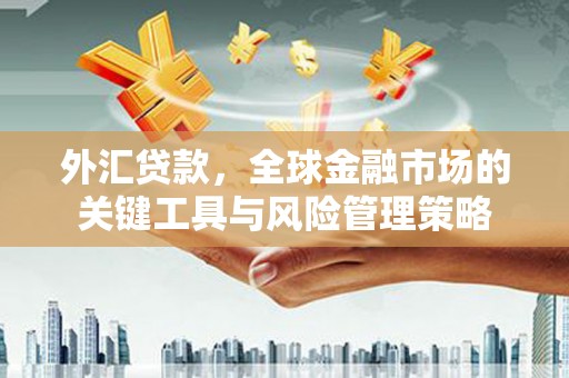 岳塘外汇贷款，全球金融市场的关键工具与风险管理策略