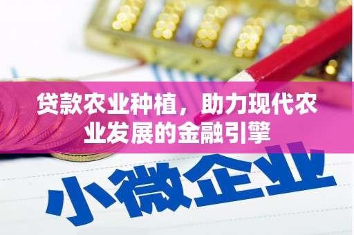 岳塘贷款农业种植，助力现代农业发展的金融引擎