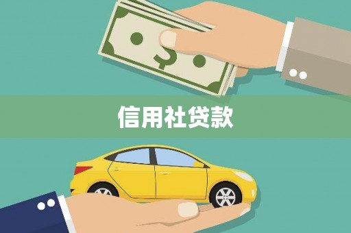 岳塘信用社贷款