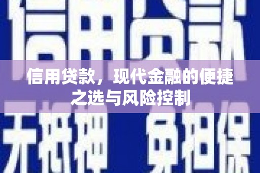 岳塘信用贷款，现代金融的便捷之选与风险控制