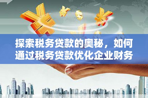 岳塘探索税务贷款的奥秘，如何通过税务贷款优化企业财务