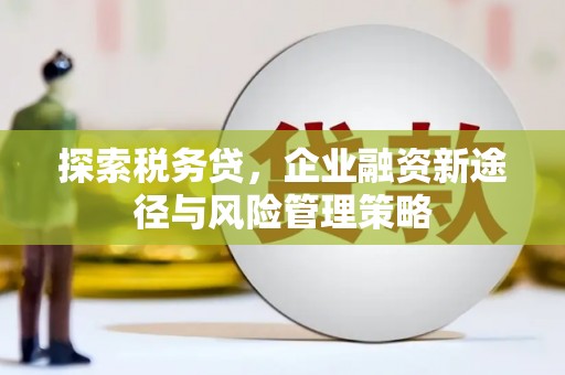 岳塘探索税务贷，企业融资新途径与风险管理策略