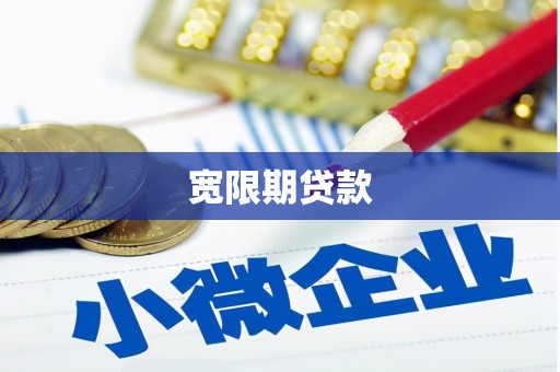 岳塘宽限期贷款