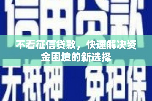 岳塘不看征信贷款，快速解决资金困境的新选择