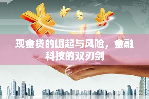 岳塘现金贷的崛起与风险，金融科技的双刃剑