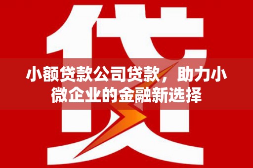 岳塘小额贷款公司贷款，助力小微企业的金融新选择