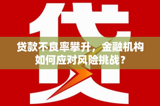 岳塘贷款不良率攀升，金融机构如何应对风险挑战？