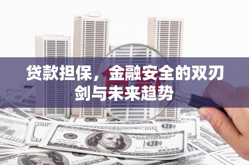 岳塘贷款担保，金融安全的双刃剑与未来趋势