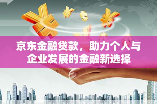 岳塘京东金融贷款，助力个人与企业发展的金融新选择