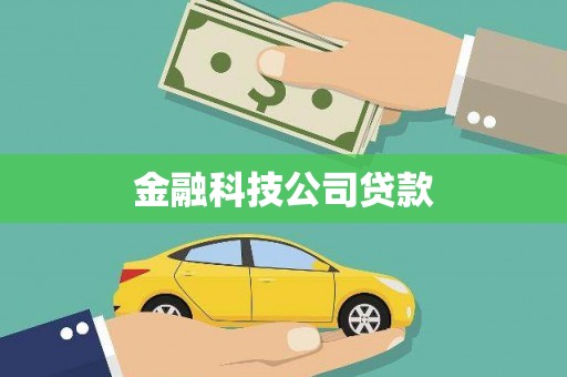 岳塘金融科技公司贷款
