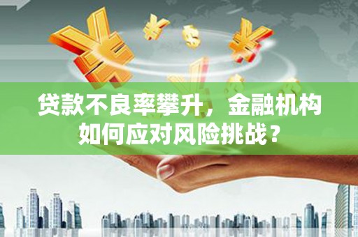 岳塘贷款不良率攀升，金融机构如何应对风险挑战？