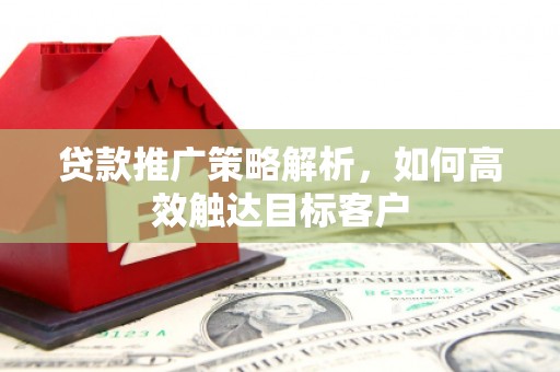 岳塘贷款推广策略解析，如何高效触达目标客户