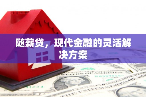 岳塘随薪贷，现代金融的灵活解决方案