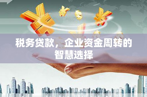 岳塘税务贷款，企业资金周转的智慧选择
