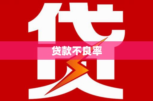 岳塘贷款不良率