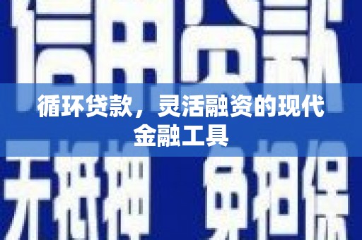 岳塘循环贷款，灵活融资的现代金融工具