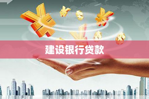 岳塘建设银行贷款