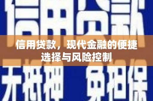 岳塘信用贷款，现代金融的便捷选择与风险控制