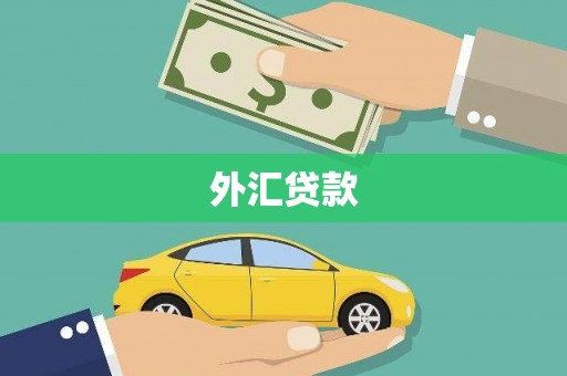 岳塘外汇贷款